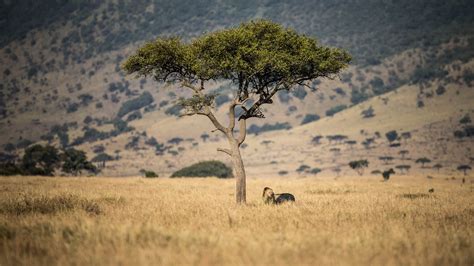 Cosa Vedere In Tanzania I Luoghi Da Non Perdere Esploratoridelmondo It