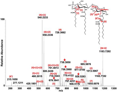 Characterization Of Isomers Of Lipid A From Pseudomonas Aeruginosa PAO1