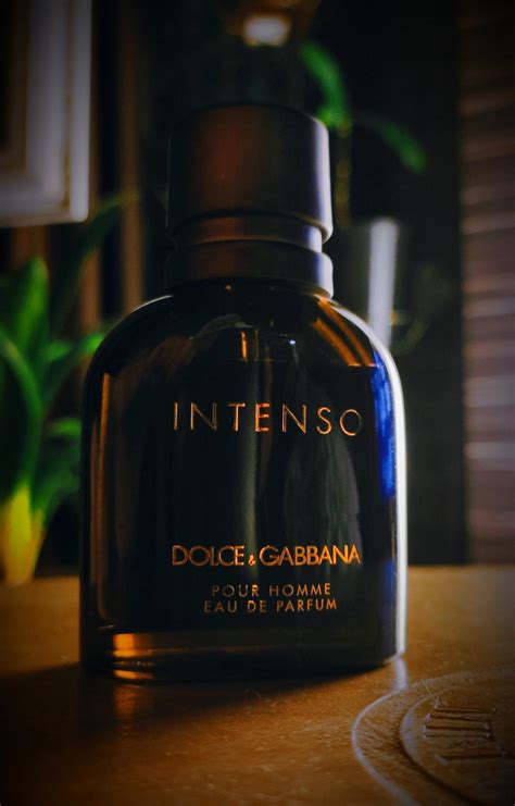 Dolce&Gabbana Pour Homme Intenso Dolce&Gabbana Cologne - ein es Parfum ...
