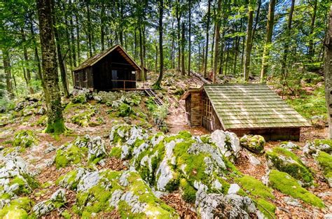 exploring  hidden forests  kocevsko hidden forest green country