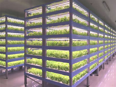 Agroz Aims To Build Malaysia S Largest Indoor Vertical Farms Soyacincau