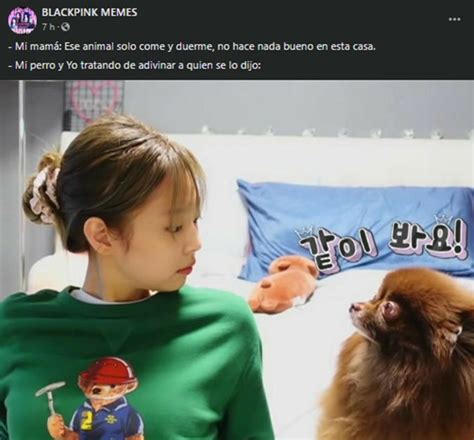 Blackpink memes and gay moments fansÉ Artofit