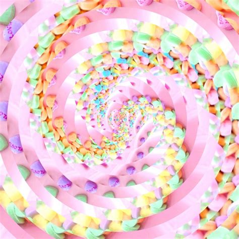 Sweet Rose 4 Free Stock Photo - Public Domain Pictures