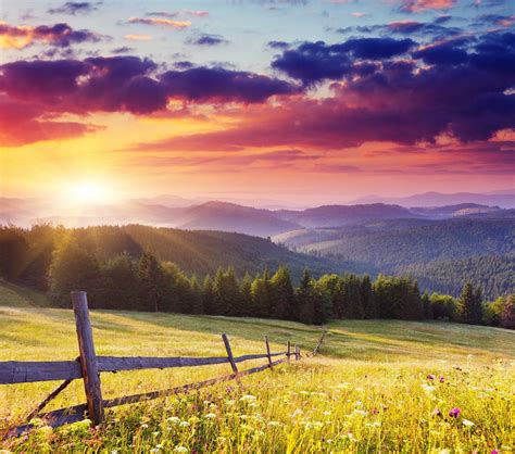 Amundson Funeral and Cremation Service