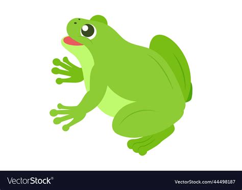 Cartoon green frog of green frog Royalty Free Vector Image