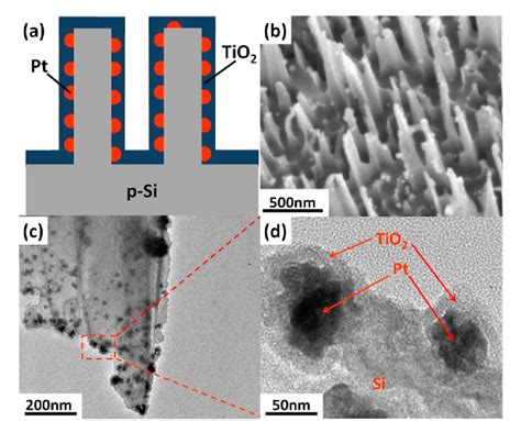 Photoelectrochemical Hydrogen Production Of Tio Passivated Pt Si