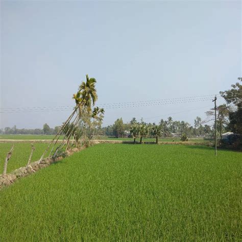 ssra