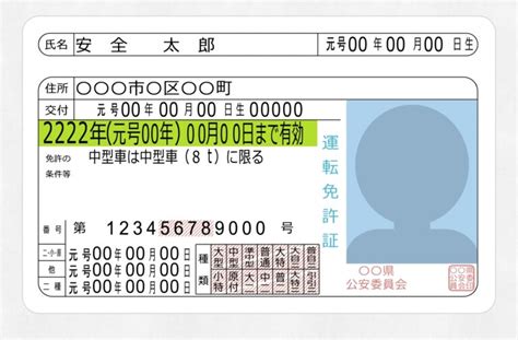 初心運転者期間とは？違反するとどうなる？詳しく解説します ゴールド免許ドットコム