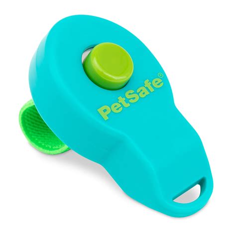 Can You Clicker Train An Older Dog