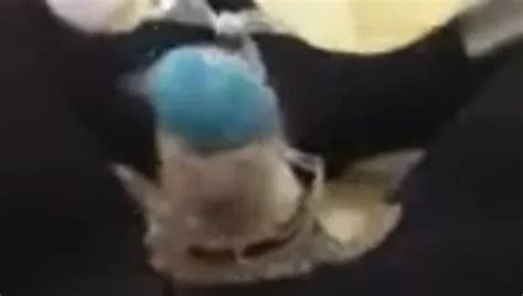 Trudy Solo Anal Play XHamster