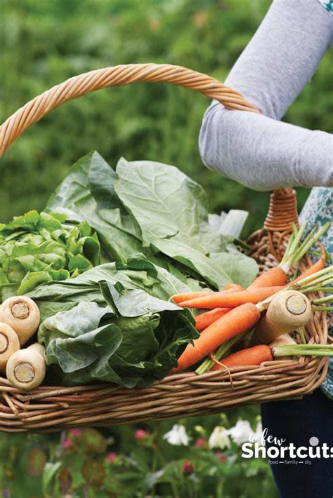 money gardening  ideas    garden profitable