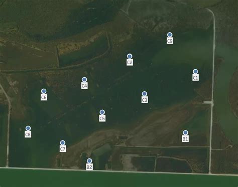 schellosageconservationareabandcpool duck tracker