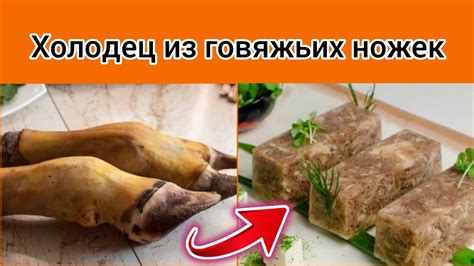 Холодец. Холодец из говяжьих ножек. Холодец из говядины. - YouTube