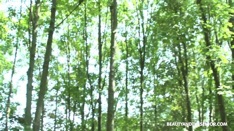 Lily Ray Porn Videos 2025 Porn Star Sex Scenes XHamster