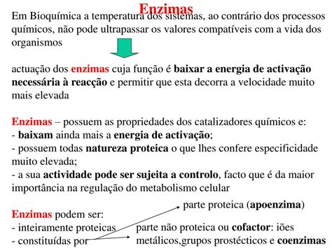 PPT - Enzimas PowerPoint Presentation, free download - ID:3258945