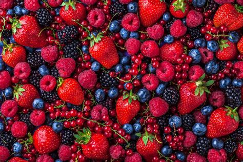 O Que São Frutas Vermelhas - Fotos: Ricas em antioxidante: confira os benefícios de 16 frutas ...