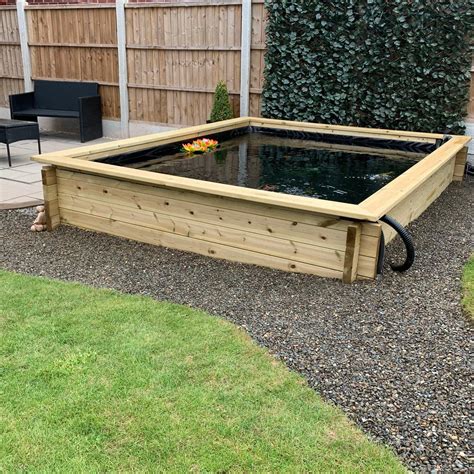 guide to fish hiding indoors 2