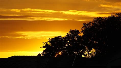 Sunrise Gold Sky - Free photo on Pixabay - Pixabay