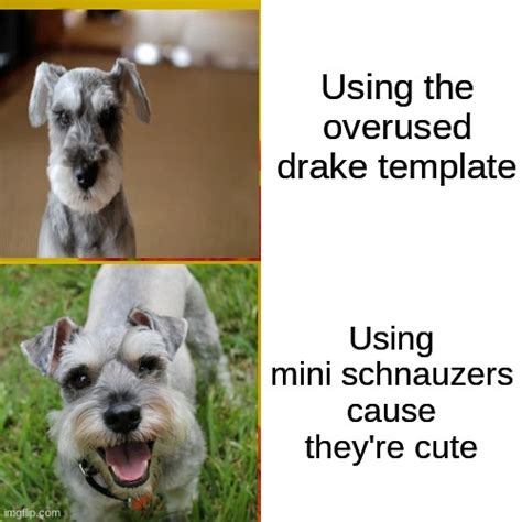 Drake Hotline Bling Memes Imgflip