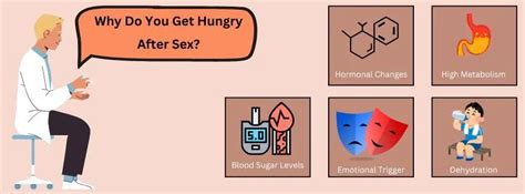 Why Does Sex Make You Hungry Reasons Explained Iyrinhealth