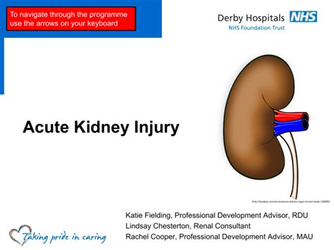 Common Causes Of Aki