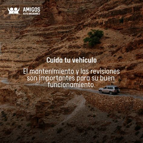 amigos insurance 8