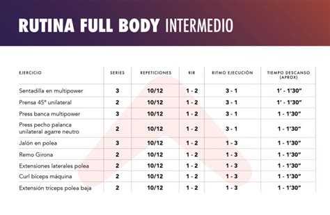 Rutina Full Body Gimnasio 2 Y 3 Días ¡entrena Todo Tu Cuerpo Altafit Gym Club