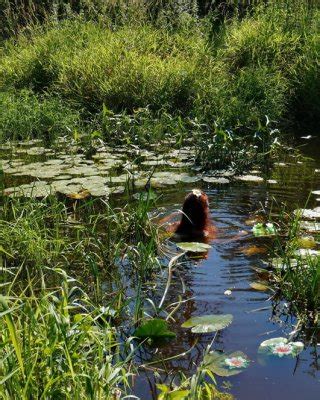 Nude In Lazy River Porn Pictures XXX Photos Sex Images 3755464 PICTOA