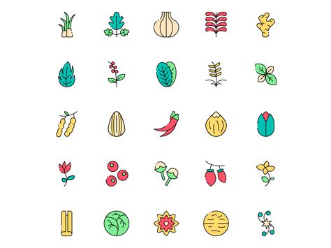 Colored Herbs And Spices Icons By Unblast On Dribbble