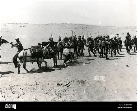 British Troops With Mules At Arsuf Middle East Ww1 Stock Photo Alamy