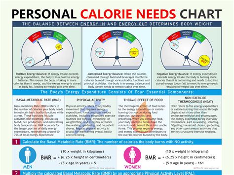 Personal Calorie Needs Chart: Weight Loss Planner (PDF) - Etsy