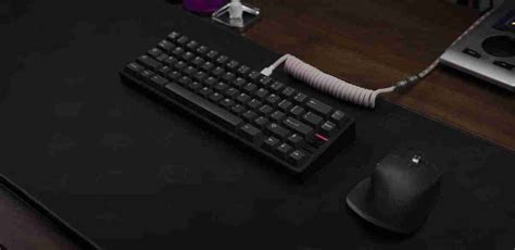 Best Mechanical Keyboard Switch Types for Office Use