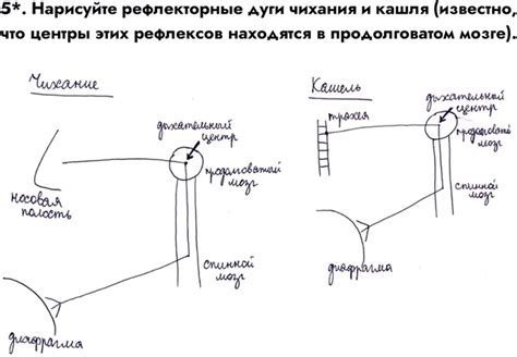(Решено)Задание 5 Параграф 34 ГДЗ Драгомилов Маш 8 класс по биологии