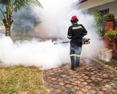 Control de plagas mantén tu casa libre de insectos BerPra