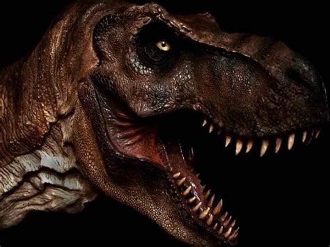 T Rex Hd Wallpaper Wallpapersafari