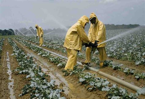 Qué son las técnicas agrícolas Bilbao Bizkaia