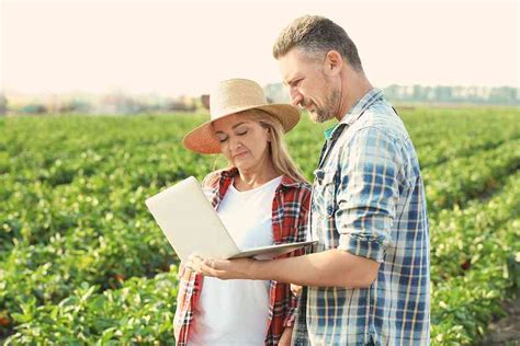 6 Best Farm Accounting Software Options in 2025