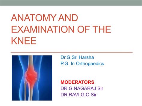 anatomy  examination   knee pptx
