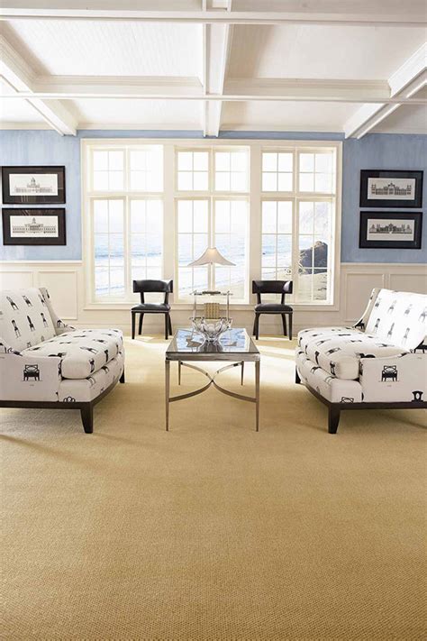 Blue Living Room Decorating Ideas Inspiration Flooring America