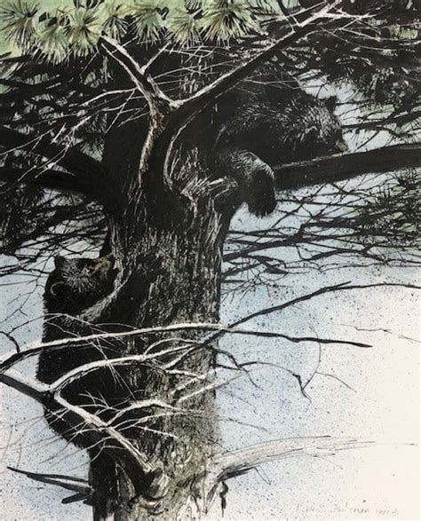 Black Bear Cubs in Tree by Robert Bateman