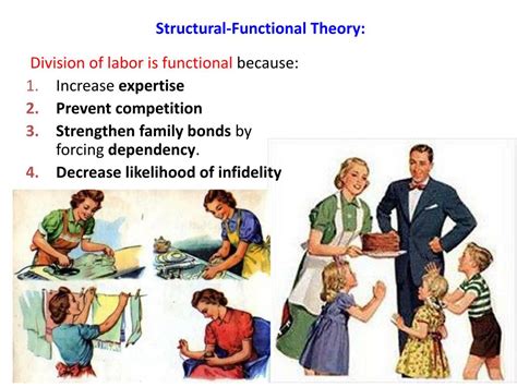 What is structural functional theory - fesspuppy