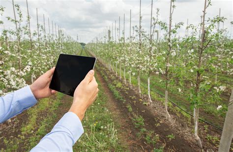 Smart Technology and Your Business - The Ginn Group, Inc.