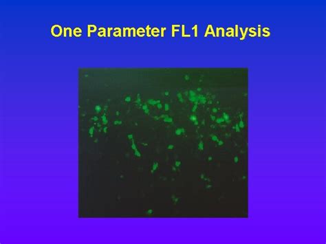 Flow Cytometry Basic Principles Instrumentation And Practices