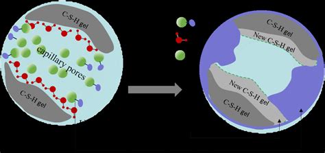 Protective mechanism of OL1 coating. | Download Scientific Diagram
