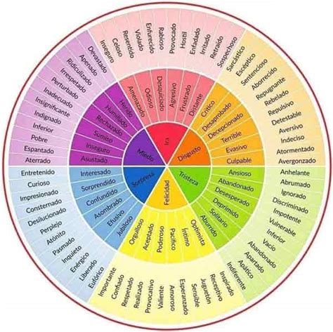 Emociones Primarias Secundarias E Instrumentales COACHING EXITO