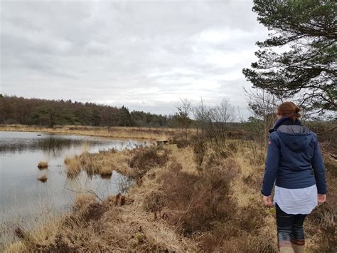 Beleef Het Lage Noorden Kom Wandelen Fietsen En Zelf Beleven