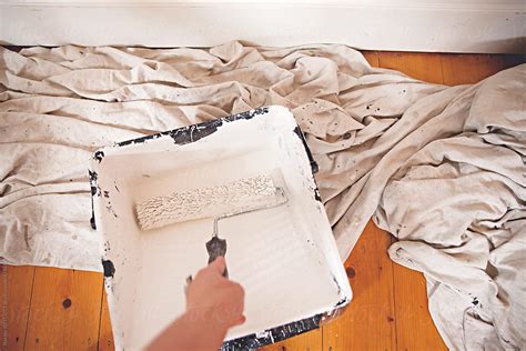 "Trying To Paint Walls White DIY At Home With A Cute Kitten" by Stocksy ...