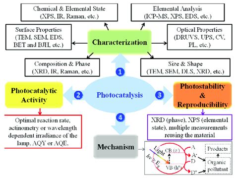 Representation Of The Four Features To Report In Heterogeneous