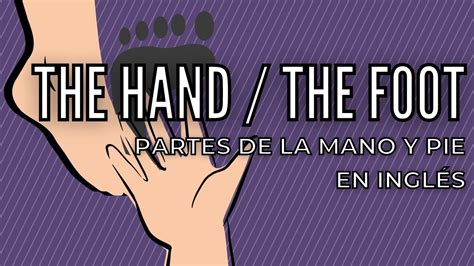 VOCABULARY HAND AND FOOT PARTES DE LA MANO Y PIE EN INGLÉS YouTube