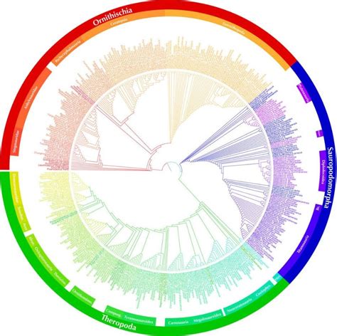 Dinosaur evolutionary tree unveiled | New Scientist